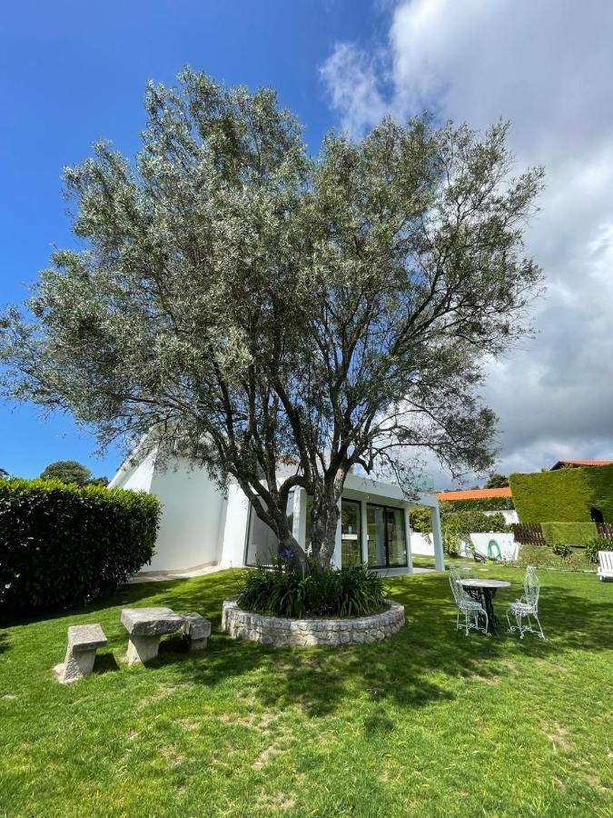Fonte Do Forno Villas Afife Exteriör bild